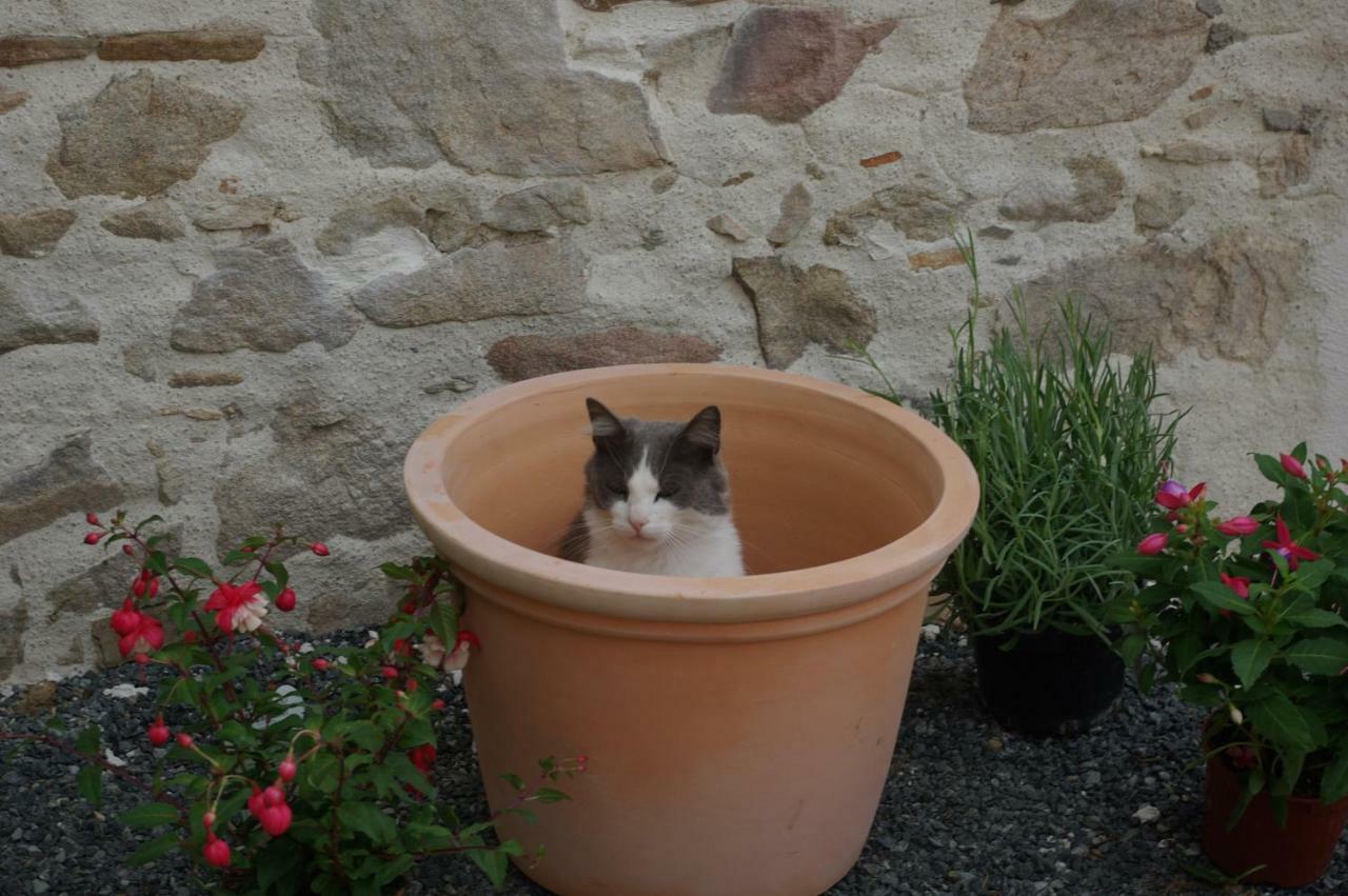 Les Trois Etangs Bed and Breakfast Saint-Viaud Buitenkant foto